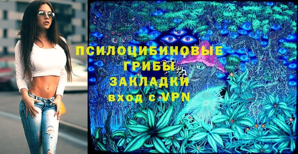 амф Беломорск