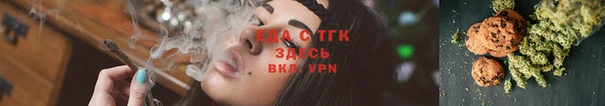 спиды Магас