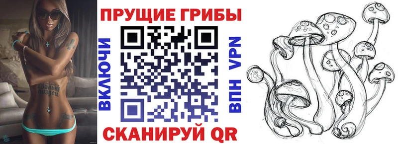 Галлюциногенные грибы GOLDEN TEACHER  кракен онион  Давлеканово 