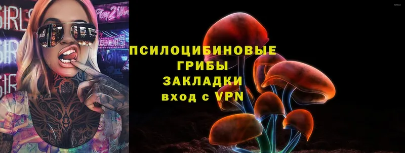 Псилоцибиновые грибы Cubensis  наркотики  Давлеканово 